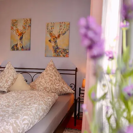 Stylisitisch, Grosszuegig, Komplett Fuer Euch Allein, Holiday home *